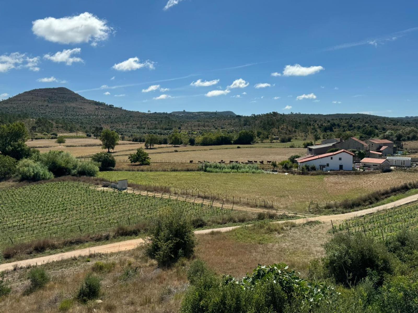 Casa Da Lima - Nestled In Nature On Santiago'S And Fatima'S Path, Close To Coimbra And Rabacal Alvorge ภายนอก รูปภาพ