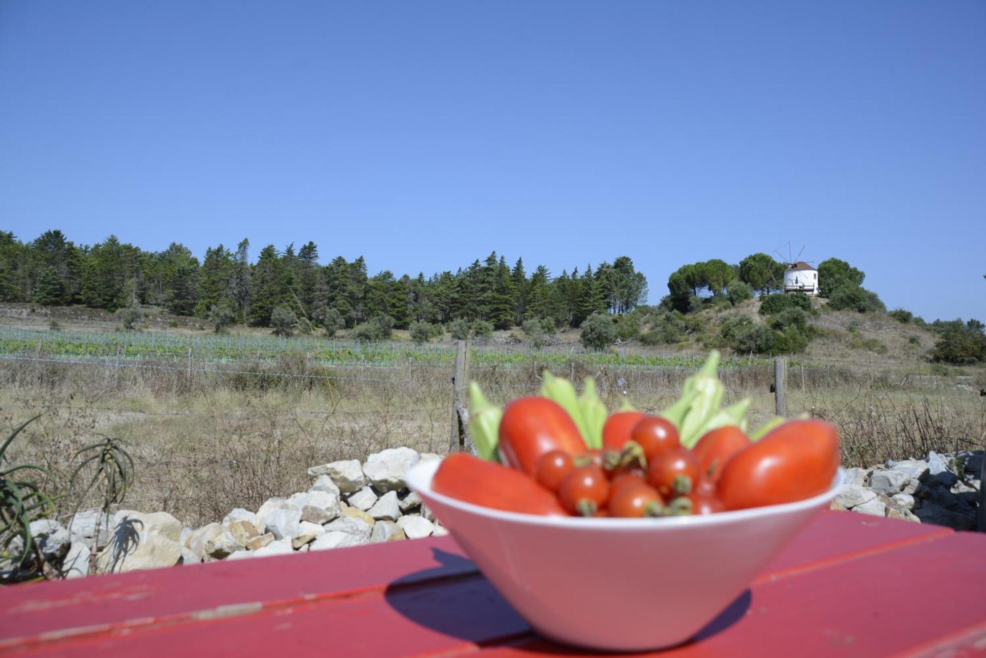 Casa Da Lima - Nestled In Nature On Santiago'S And Fatima'S Path, Close To Coimbra And Rabacal Alvorge ภายนอก รูปภาพ